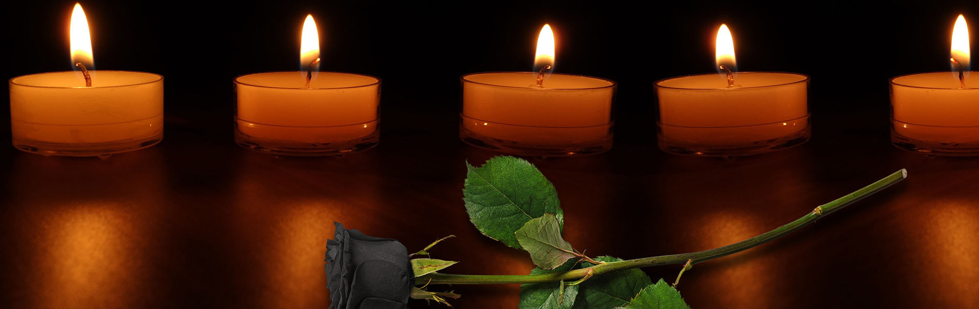 Заказ и доставка живых цветов на похороны «Роза Подолья»