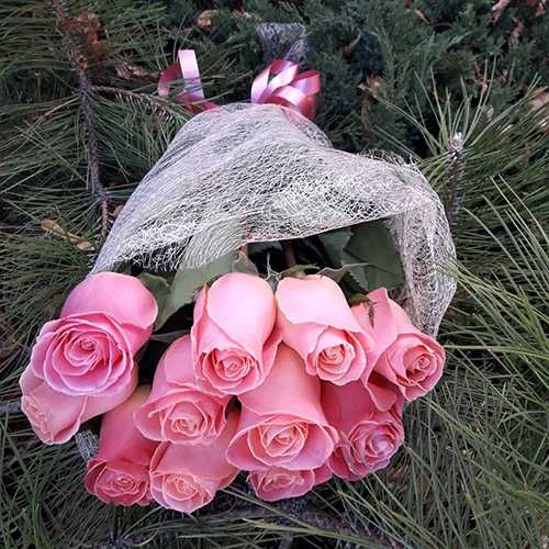 рожеві імпортні троянди фото