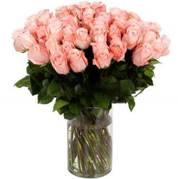 Фото товара Роза импортная розовая (поштучно) в Каменец-Подольском