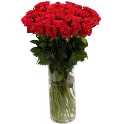 Фото товара Троянда імпортна червона (поштучно) в Каменец-Подольском