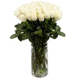 Фото товара Троянда імпортна біла (поштучно) в Каменец-Подольском