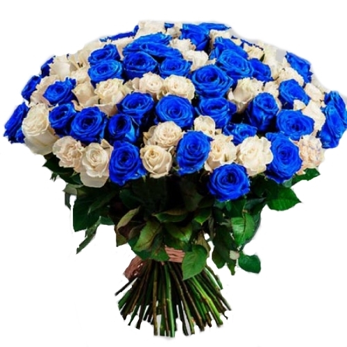 Фото товара 101 белая и синяя роза (крашеная) в Каменец-Подольском