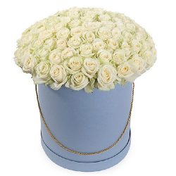 Фото товара 101 роза белая в шляпной коробке в Каменец-Подольском