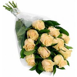Фото товара 11 кремових троянд в Каменец-Подольском