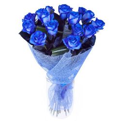 Фото товара 17 блакитних троянд (фарбованих) в Каменец-Подольском
