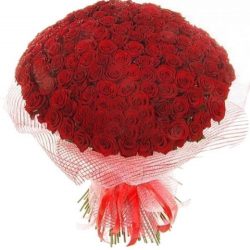 Фото товара 201 красная роза в Каменец-Подольском