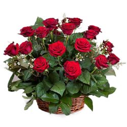 Фото товара 21 червона троянда в кошику в Каменец-Подольском