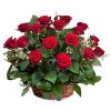 Фото товара 21 красная роза в корзине в Каменец-Подольском