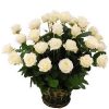 Фото товара 35 білих троянд у кошику в Каменец-Подольском