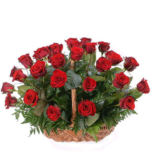 Фото товара 35 червоних троянд у кошику в Каменец-Подольском