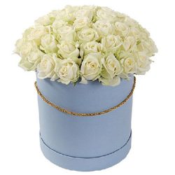 Фото товара 51 троянда біла у капелюшній коробці в Каменец-Подольском