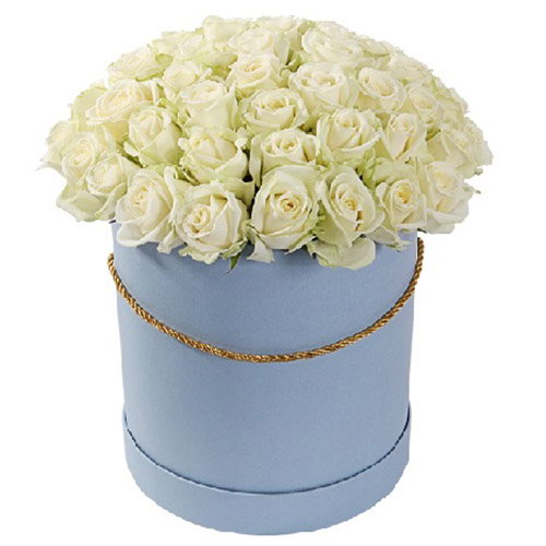 Фото товара 51 роза белая в шляпной коробке в Каменец-Подольском