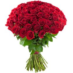Фото товара 75 красных роз в Каменец-Подольском