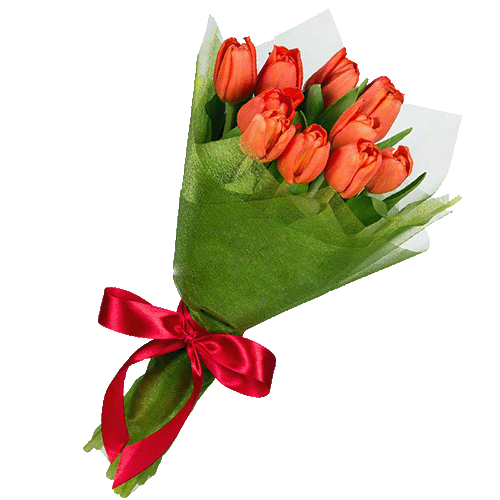 Фото товара 11 красных тюльпанов в Каменец-Подольском