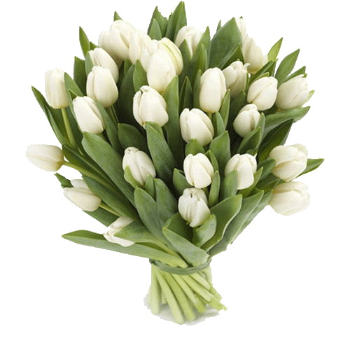 Фото товара 25 білих тюльпанів в Каменец-Подольском