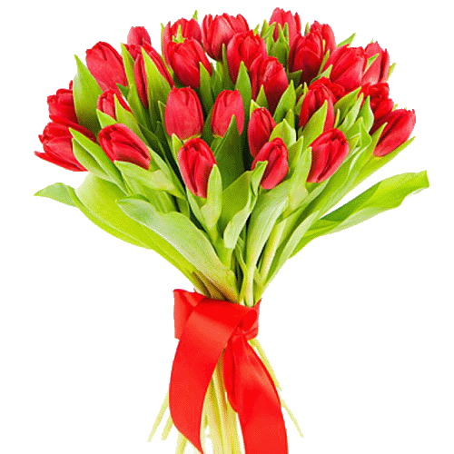 Фото товара 25 червоних тюльпанів в Каменец-Подольском