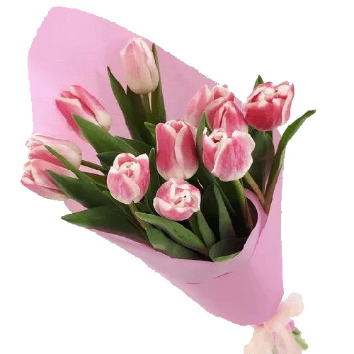 Фото товара 11 рожевих тюльпанів в Каменец-Подольском