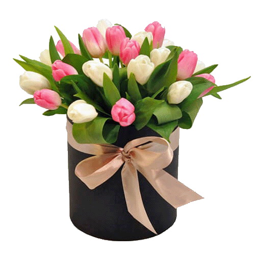 Фото товара 25 тюльпанів у капелюшній коробці в Каменец-Подольском