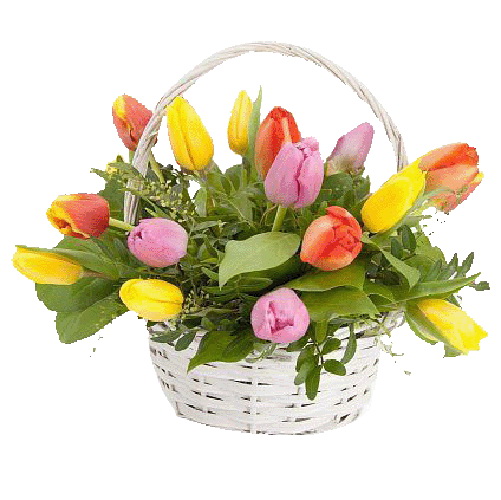 Фото товара 15 тюльпанів у кошику в Каменец-Подольском