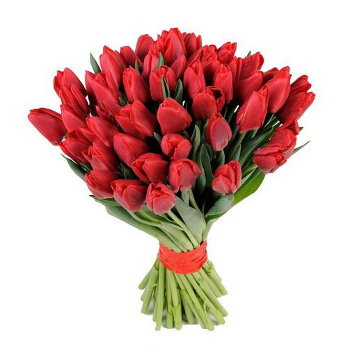 Фото товара 51 красный тюльпан в Каменец-Подольском