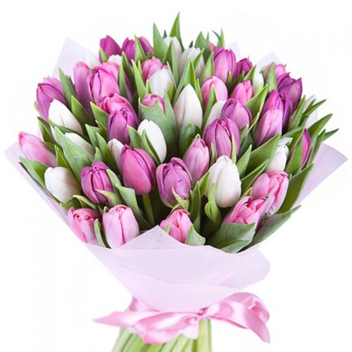 Фото товара 51 біло-рожевий тюльпан в Каменец-Подольском