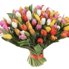 Фото товара 101 разноцветный тюльпан в Каменец-Подольском