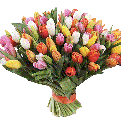 Фото товара 101 разноцветный тюльпан в Каменец-Подольском