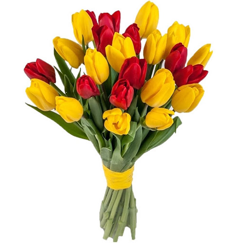 Фото товара 15 червоно-жовтих тюльпанів (зі стрічкою) в Каменец-Подольском