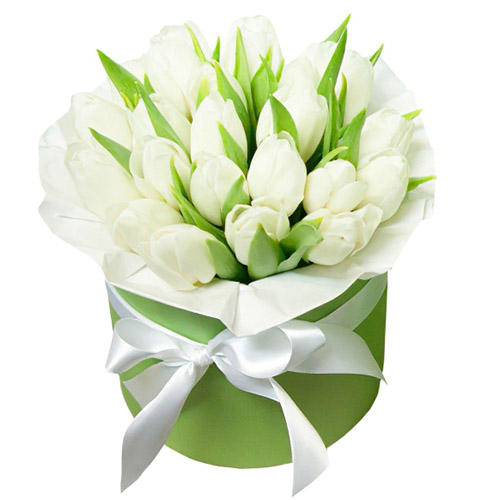 Фото товара 21 белый тюльпан в коробке в Каменец-Подольском