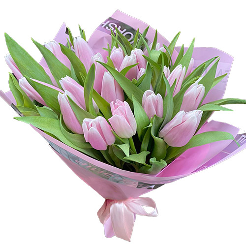 Фото товара 21 ніжно-рожевий тюльпан в Каменец-Подольском