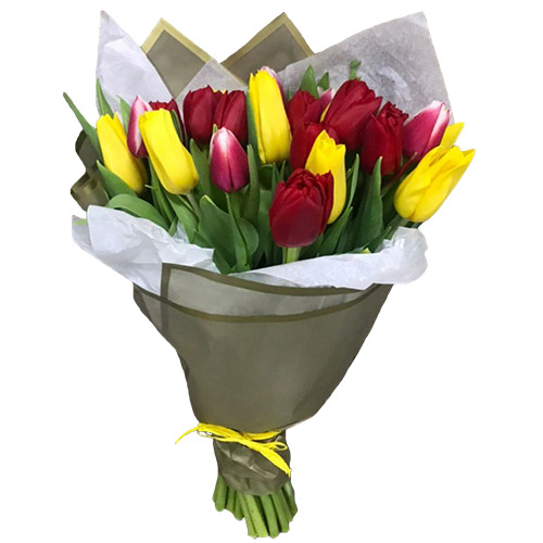 Фото товара 21 красно-жёлтый тюльпан в двойной упаковке в Каменец-Подольском
