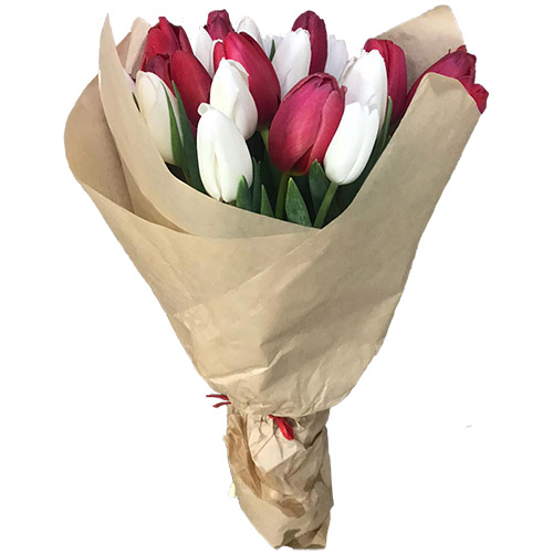 Фото товара 21 червоно-білий тюльпан у крафт в Каменец-Подольском