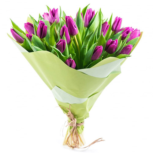 Фото товара 25 пурпурних тюльпанів в Каменец-Подольском