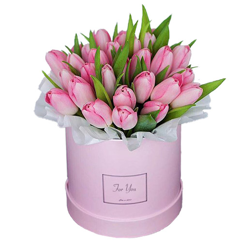 Фото товара 31 нежно-розовый тюльпан в коробке в Каменец-Подольском