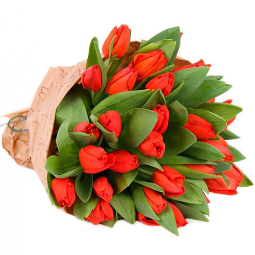 Фото товара 35 красных тюльпанов в "газете" в Каменец-Подольском