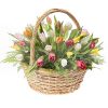 Фото товара 35 тюльпанов в квадратной коробке в Каменец-Подольском