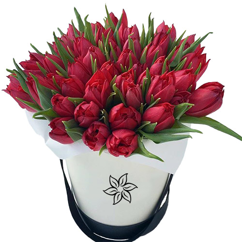 Фото товара 45 червоних тюльпанів у коробці в Каменец-Подольском