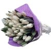 Фото товара 51 біло-пурпурний тюльпан (зі стрічкою) в Каменец-Подольском