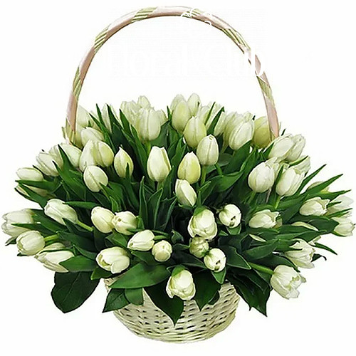 Фото товара "Цукрова вата" 51 білий тюльпан у кошику в Каменец-Подольском