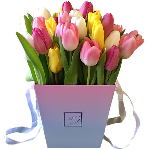 Фото товара 31 тюльпан "Весняний вітер" у квадратній коробці в Каменец-Подольском
