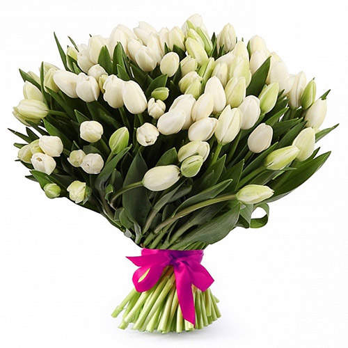 Фото товара 51 білий тюльпан "Джульєтта" в Каменец-Подольском