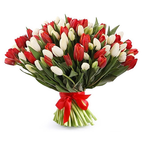 Фото товара 75 червоно-білих тюльпанів (зі стрічкою) в Каменец-Подольском