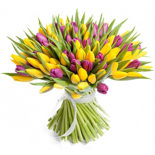 Фото товара 75 фіолетово-жовтих тюльпанів в Каменец-Подольском