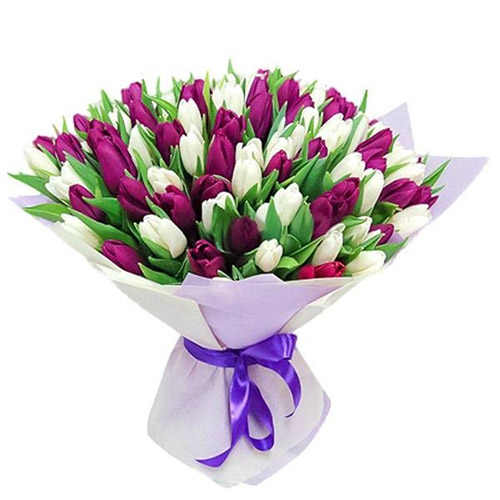 Фото товара 75 пурпурно-білих тюльпанів в Каменец-Подольском