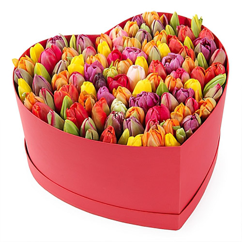Фото товара 101 тюльпан у коробці серцем в Каменец-Подольском