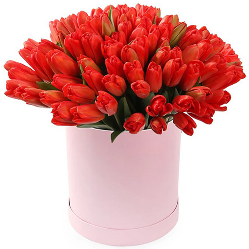 Фото товара 101 червоний тюльпан у коробці в Каменец-Подольском