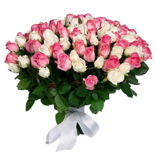 Фото товара 101 біла і рожева троянда в Каменец-Подольском