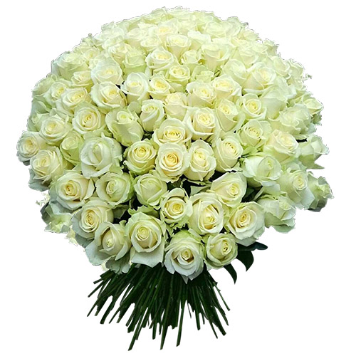 Фото товара 101 біла троянда в Каменец-Подольском