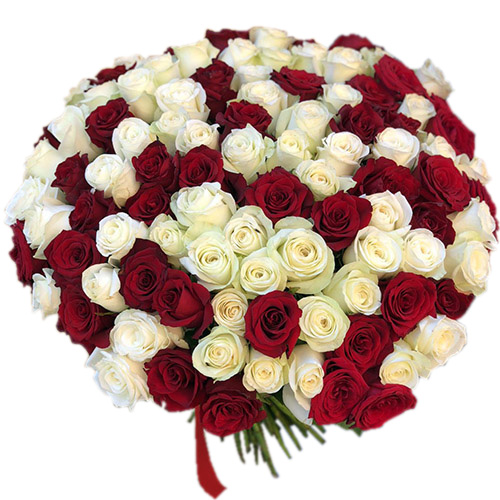 Фото товара 101 червона і біла троянда в Каменец-Подольском