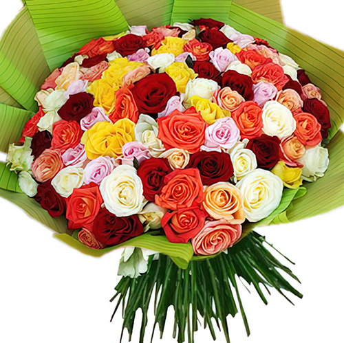Фото товара 101 троянда мікс в упаковці в Каменец-Подольском